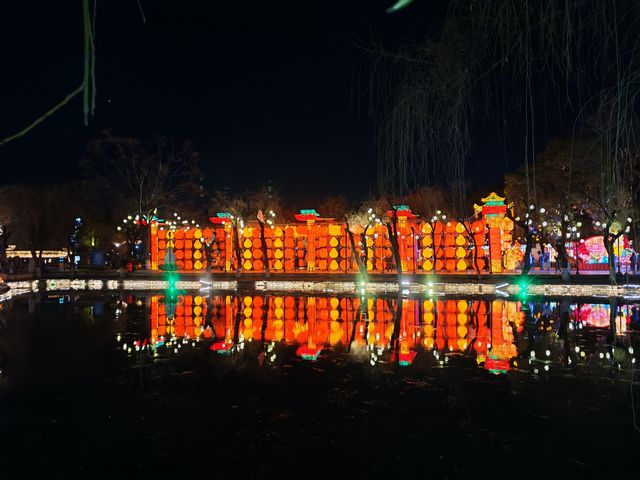 昆明大觀公園新春燈會(八) 昆明大觀公園新春燈會(八)