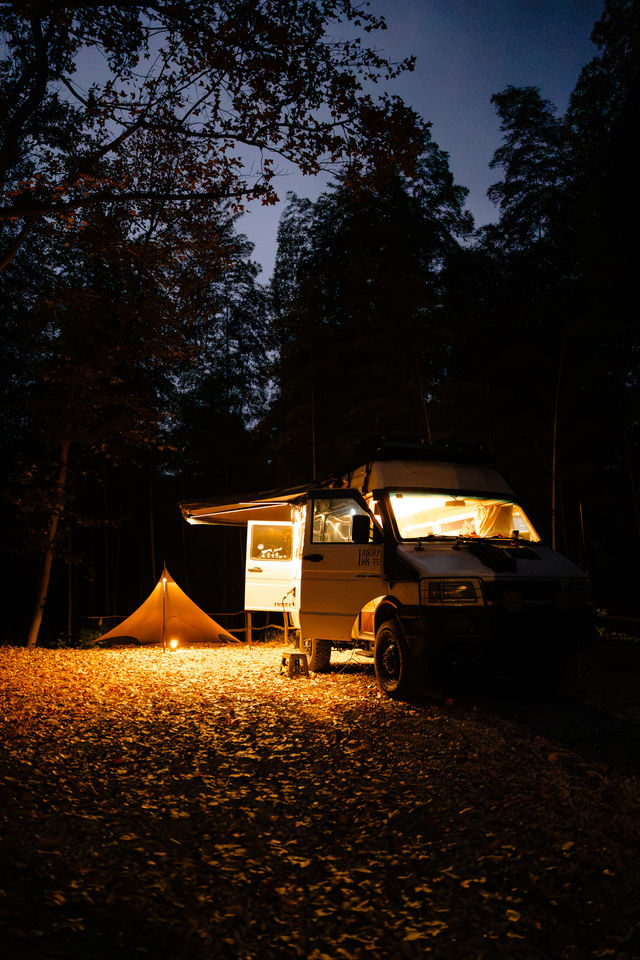 新手露營指南|林深見霧時,在畫中眠 新手露營指南|林深見霧時,在畫中眠