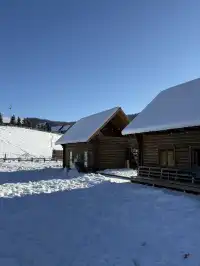 阿勒泰四天三晚旅行攻略 | 禾木&白哈巴