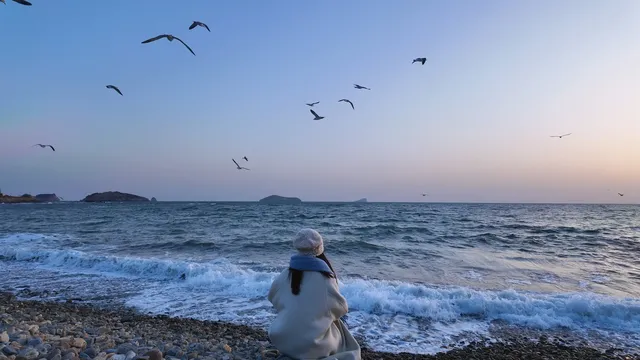 關於大連的初冬記憶 關於大連的初冬記憶