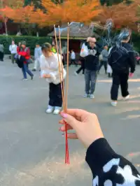 南京棲霞山親子遊|2歲娃解鎖紅葉仙境攻略