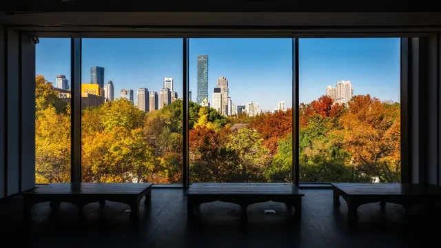 入了秋,南京便成了金陵 入了秋,南京便成了金陵