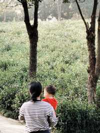 從無錫出發，一個半小時就能抵達的親子度假酒店！長興芳草地度假酒店簡直是帶娃放電的完美選擇，我們家崽崽