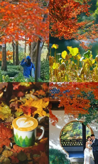 Avoid the crowds on November 29th and enjoy the autumn foliage alone by West Lake.