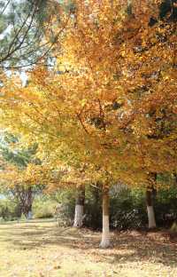 週末出逃|特種兵寧波兩日遊攻略