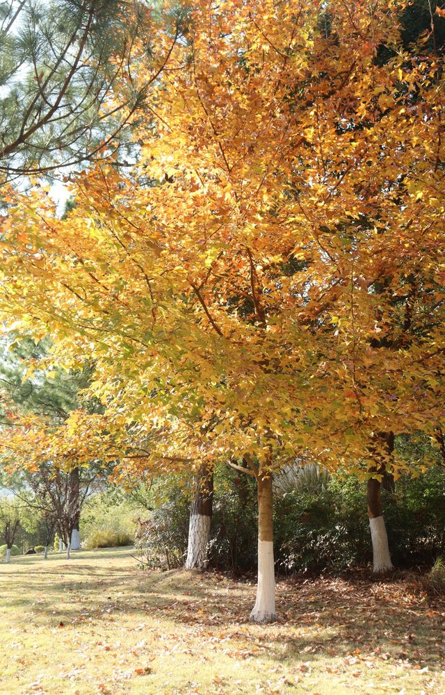 週末出逃|特種兵寧波兩日遊攻略 週末出逃|特種兵寧波兩日遊攻略