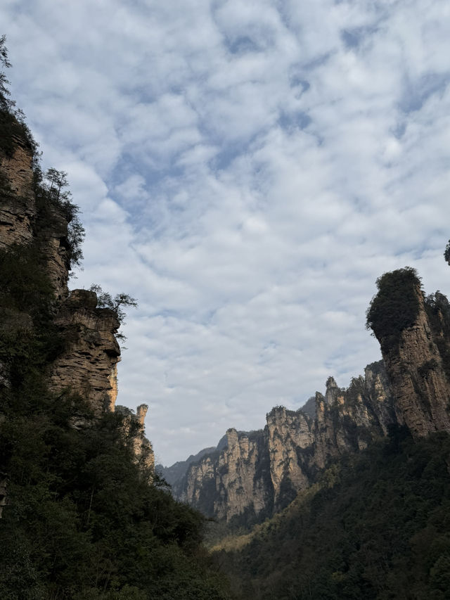 張家界 / 將軍列隊 張家界 / 將軍列隊