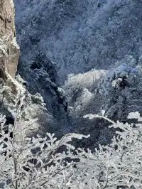 去了郴州3次,莽山看雪就應該這麼玩!!