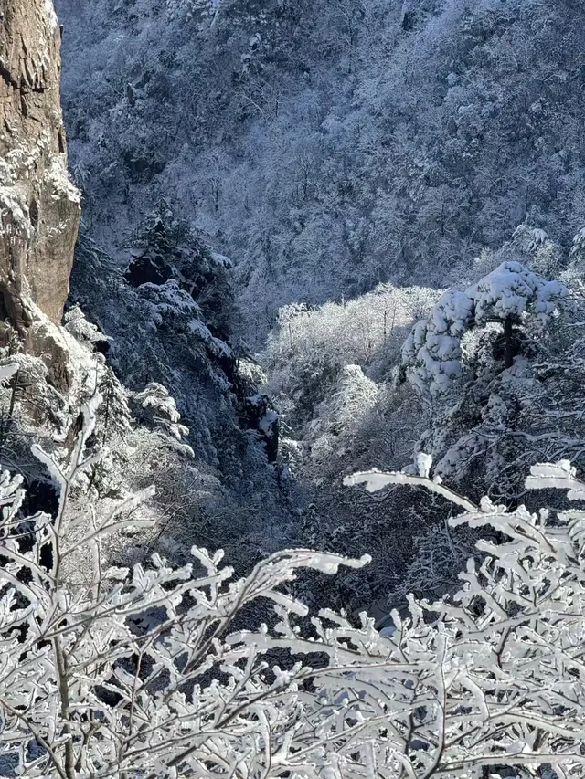 去了郴州3次,莽山看雪就應該這麼玩!! 去了郴州3次,莽山看雪就應該這麼玩!!
