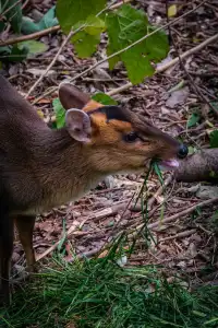 上海動物園‖動物攝影師的天堂