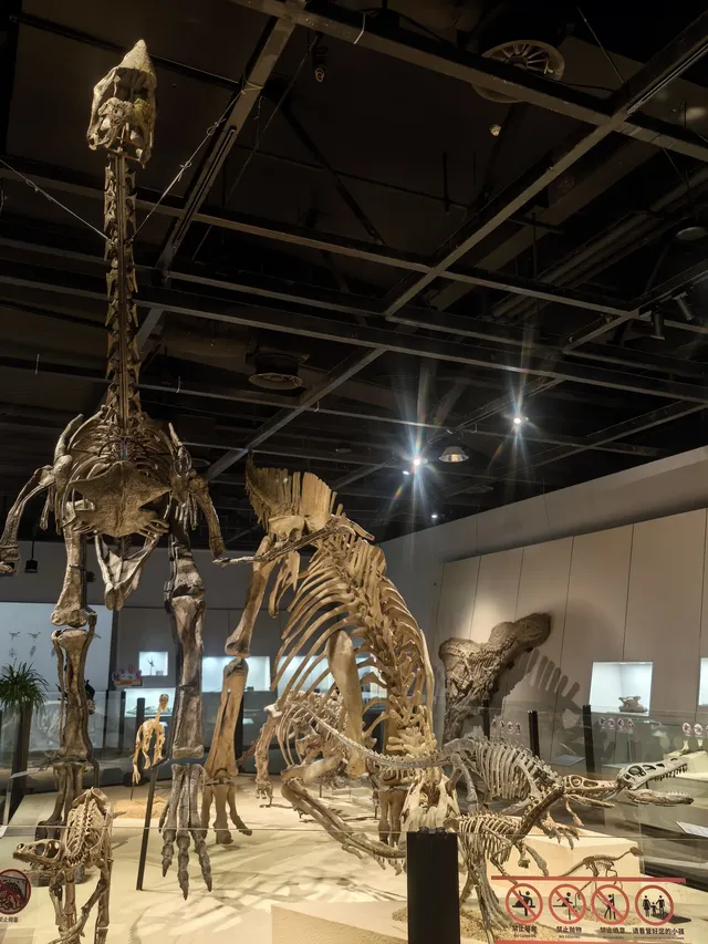上海自然博物館中國恐龍大展 | 一眼看億年 上海自然博物館中國恐龍大展 | 一眼看億年