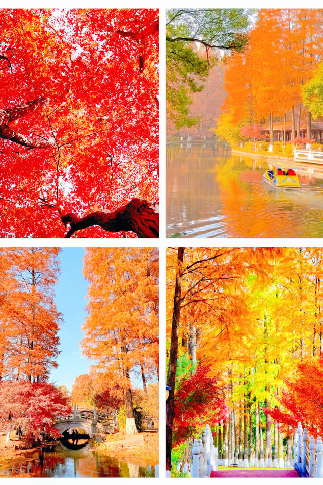 武漢秋天美炸了元旦跨年瘋玩攻略,錯過等一年 武漢秋天美炸了元旦跨年瘋玩攻略,錯過等一年