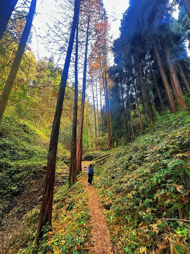 成都霧霾天的救命徒步!蒲虹路6公里,拿捏! 成都霧霾天的救命徒步!蒲虹路6公里,拿捏!