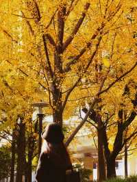 魔都冬日限定延中廣場公園的秘密花園超好拍!