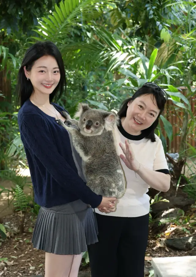 Taking Mom to the Gold Coast to Hug Koalas