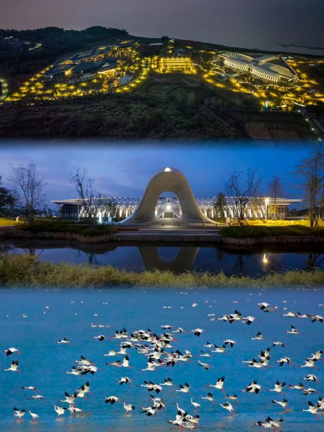 候鳥同框神仙酒店 候鳥同框神仙酒店