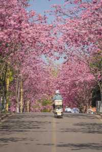 昆明滇池拍照打卡攻略，不可錯過的好地方