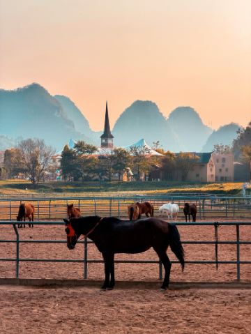 Это не трехчасовая поездка из Наньнина, Европа. Пони-королевство Дебао просто потрясающее!