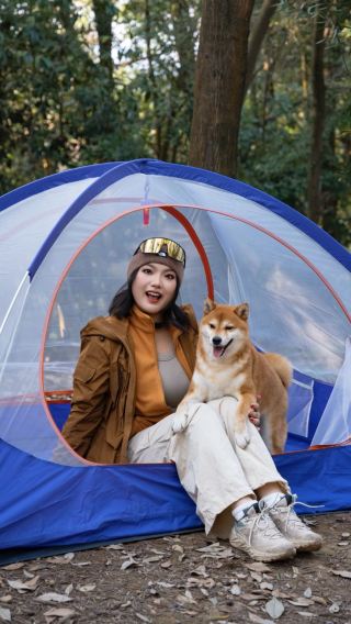 Shengfang Wetland Camping Guide: Bring your Shiba Inu for a camping trip! Discover the wild on the edge of the city!