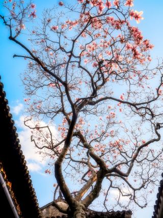 4개국 64개 도시｜나의 2025년 여행 연간 결산