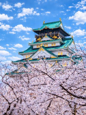 Osaka Cherry Blossom Viewing Practical Guide! These Spots Are Perfect for Photos
