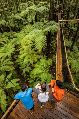Must-Visit List in Life! Travel Inspiration for New Zealand's North Island Has Arrived