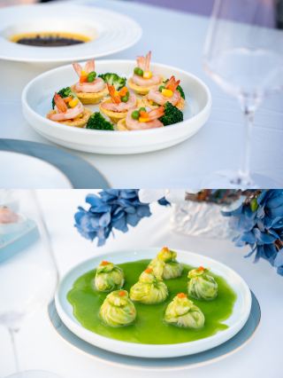 Rizhao Seaside "Ruyi Banquet" | A Dream Gathering for Seniors