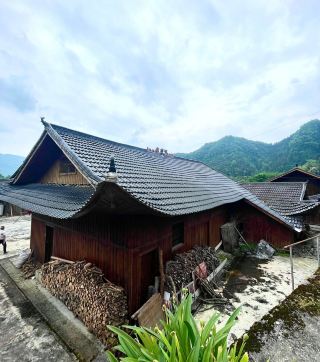 Laifeng Yangmei Ancient Village: A Hidden Wuling Wonderland, Home to Asia's Oldest Millennium-Old Plum Tree