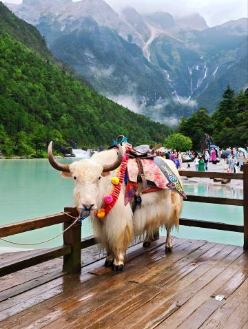 湾岸のJADE乗り A Rainy Day Adventure at Jade Dragon Snow Mountain 🚠⛰️ | Trip