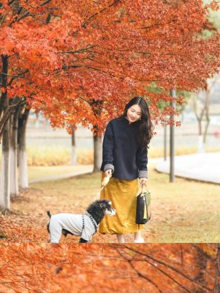 Hidden redwood secret spot in Suzhou has fewer people than Tiger Hill