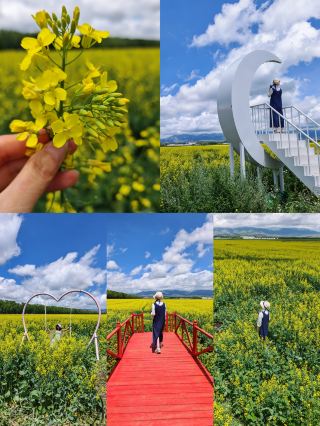 [Beautiful Xinjiang] A must-visit in northern Xinjiang! This stunning highway captures the romance of summer flower seas