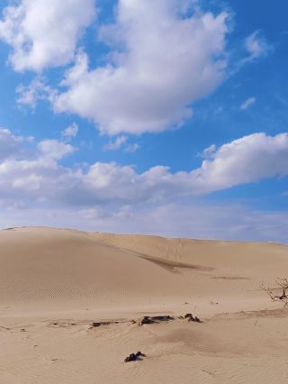 Summer 3-day tour to easily explore Tongliao and Xilingol League