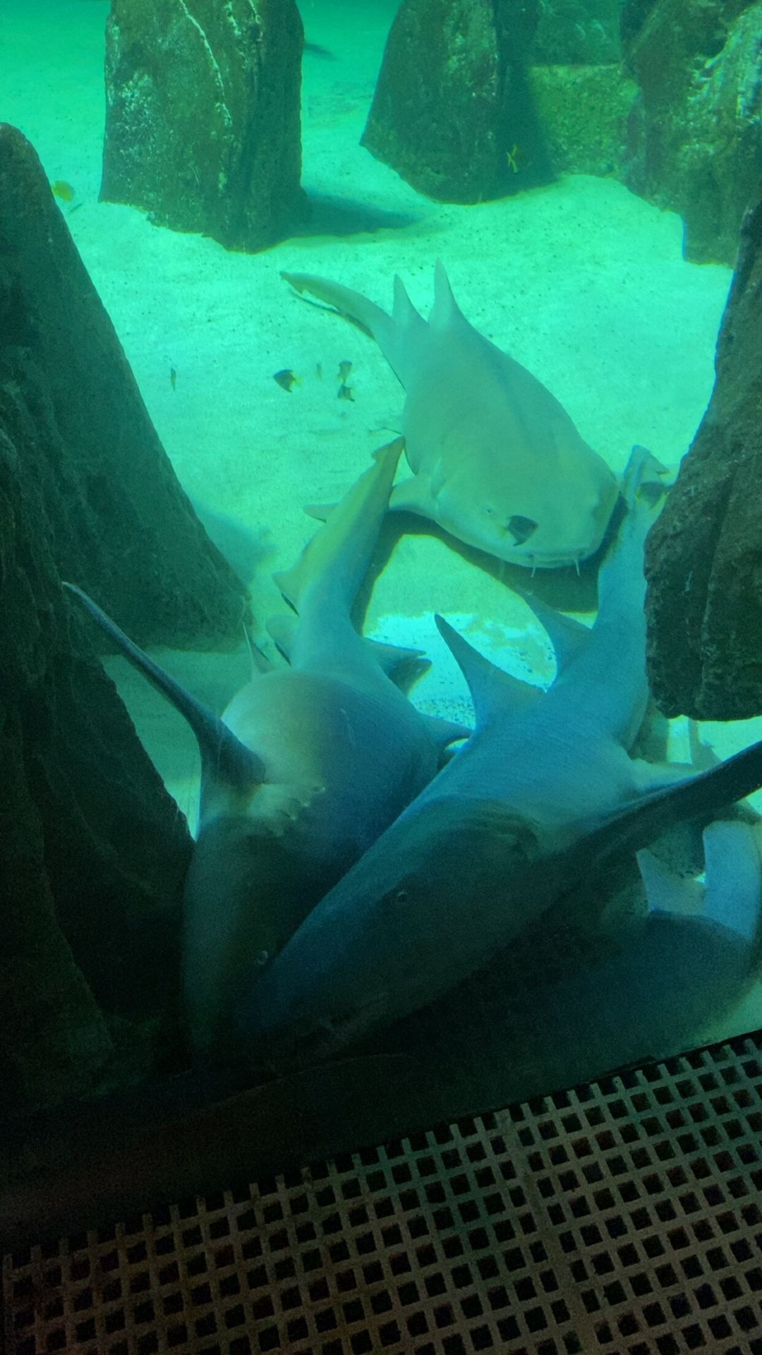 Great Aquarium Experience with Fair Pricing