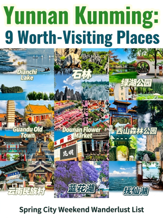 9 must-visit hidden gems in Kunming｜Feed seagulls, stroll flower markets, enjoy wild mushrooms, and experience the healing charm of the spring city