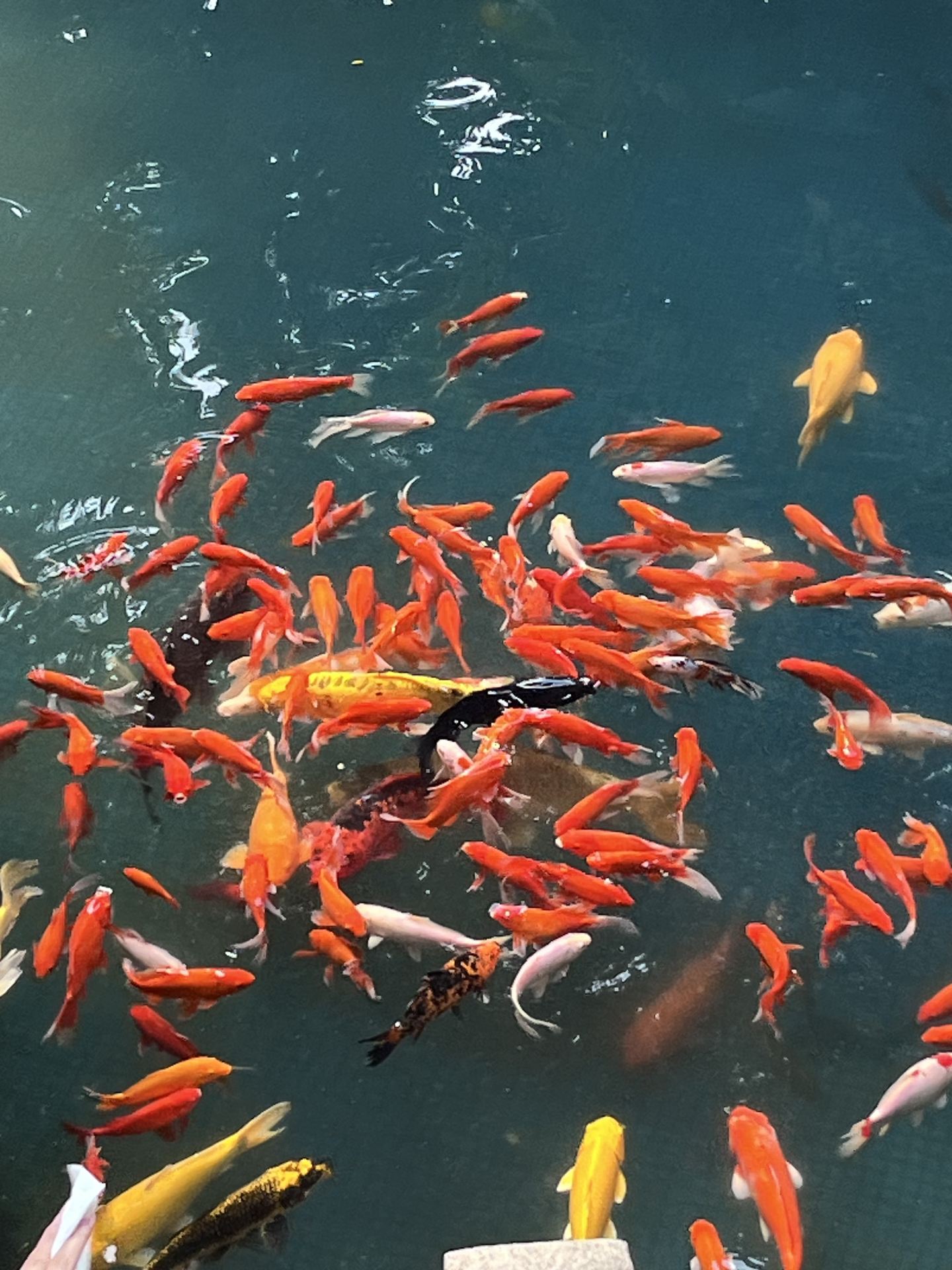 Departing from Zengcheng, Guangzhou | Foshan Ancestral Temple + Lingnan Tiandi 1-day date guide