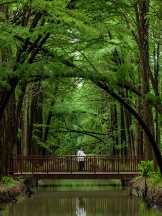 これまでで！私の一番好きな穴場の宝物の小さな町が現れました！