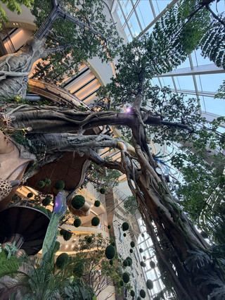 Check in at Chongqing Halo World Tree