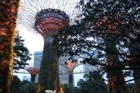 新加坡濱海灣花園｜避開人潮的完美悠遊攻略