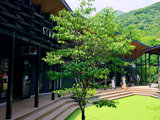 A photogenic spot in Yufuin | Mokuami no Mori wooden aesthetic complex