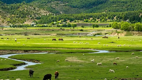 Yunnan's Last Hidden Paradise – As Recommended by National — traveler post in Lanping