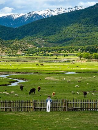 
Yunnan's Last Hidden Paradise – As Recommended by National Geographic 🌿

The "last hidden paradise of Yunnan," as praised by China National Geographic, refers to the Nujiang Lisu Autonomous Prefecture in northwestern Yunnan – especially Bingzhongluo and the Dulong Valley. Squeezed between the Gaoligong and Biluo snow mountains, with the Nujiang River roaring through, this region retains its pristine nature and rich cultural heritage.

🏔️ Highlights

· Bingzhongluo: "Where gods and humans coexist" – the dramatic First Bend of Nujiang and the fairy-tale Peach Blossom Island.
· Wuli Village: A Nu ethnic village on the ancient Tea Horse Road, accessible only by foot – misty and magical.
· Qiunatong: The northernmost village in the Nujiang Grand Canyon – "a village that fell from the sky."
· Dulong Valley: A true primordial wonderland, home to the Dulong people – only 24 tattooed-face women remain, living fossils of a thousand-year-old culture.
· Laomudeng: The best viewpoint over the Nujiang Grand Canyon – church bells, sea of clouds, and sunrise.

🚗 Getting There
Fly to Baoshan or Dali, then take a bus or drive to Liuku (Nujiang's capital). A classic 5–7 day route: Liuku → Fugong → Gongshan → Bingzhongluo → Wuli → Qiunatong → Dulong Valley (permit required) → return.

💡 Tips

· Best season: October to April – clear skies and emerald-green river.
· Permit: A border pass is required for Dulong Valley.
· Footwear: Hiking shoes essential; bring a light jacket for temperature swings.

Nujiang's beauty lies in its raw, untouched mystery. If you're seeking a place where gods and humans truly coexist, this is it. 🌿
#photovsrealitytravel 