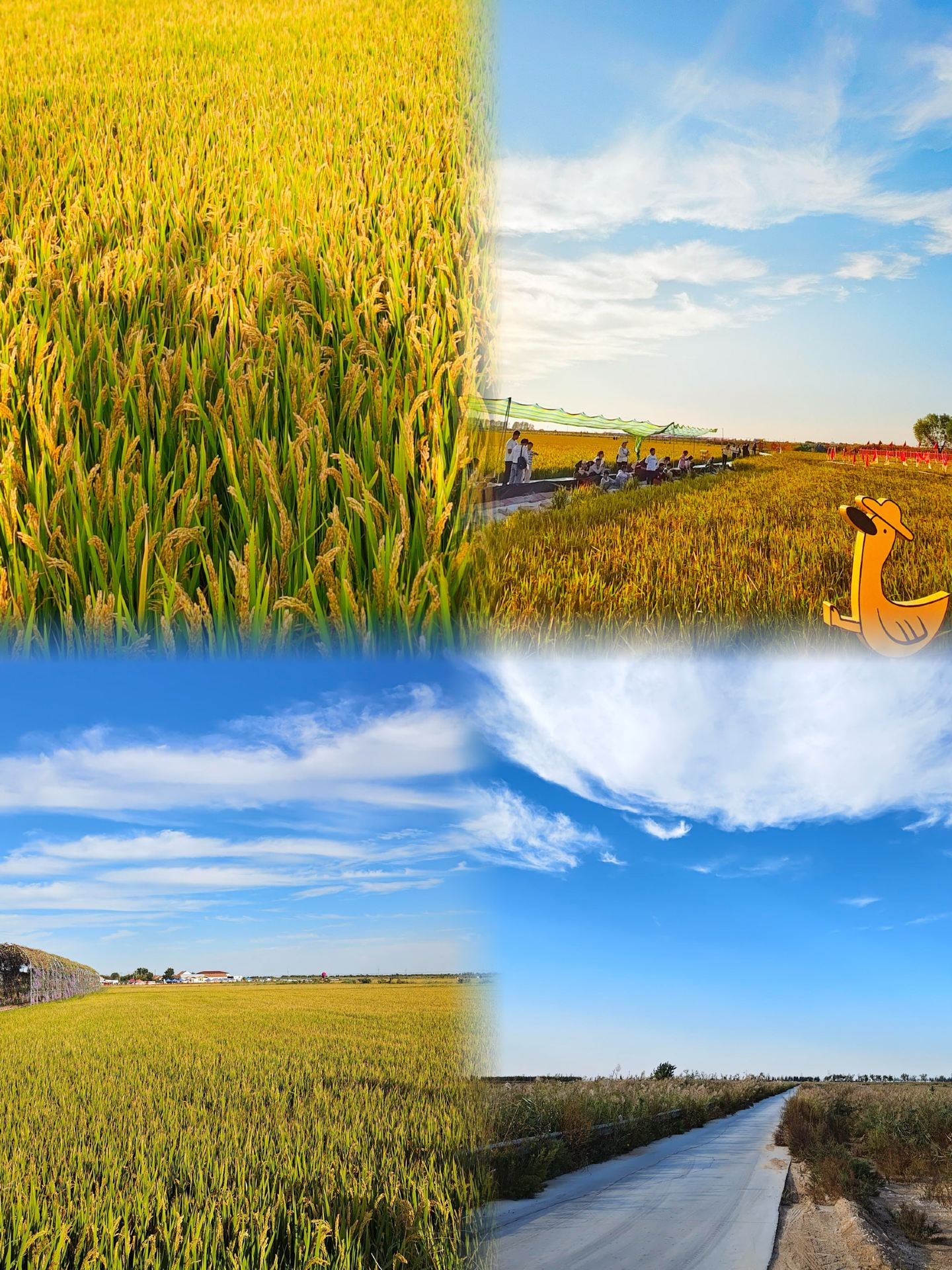 สี่สถานที่ท่องเที่ยวแนะนำในตงหยิงสำหรับวันหยุดวันชาติ