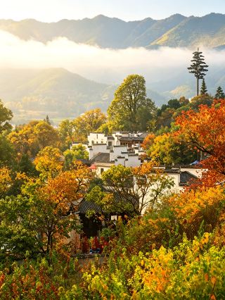 Tachuan: The pinnacle of Huizhou autumn scenery, where mist-drenched forests meet Huizhou
