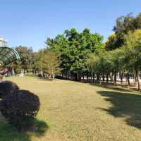 新年好去處之新春行大運。元朗公園