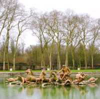 Paris Valentine's Day Romance