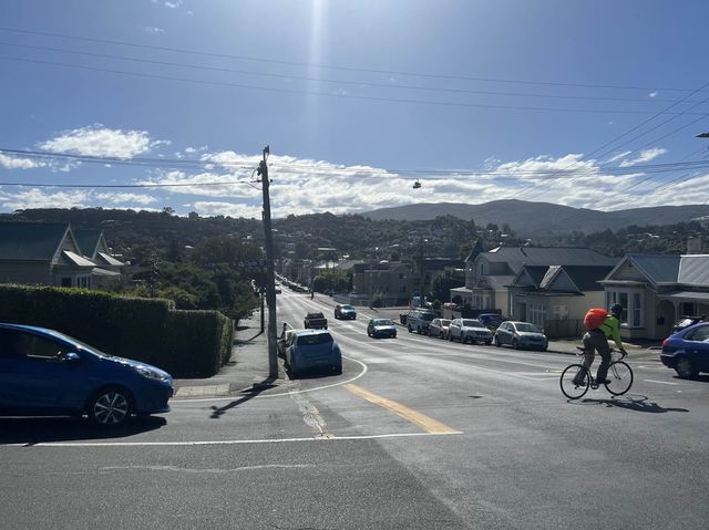 Dunedin Botanic Garden 但尼丁市區植物園，野餐散步好地方