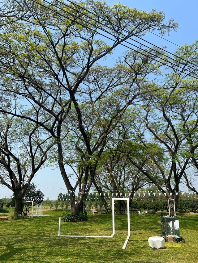 คาเฟ่เปิดใหม่เมืองพิจิตร
