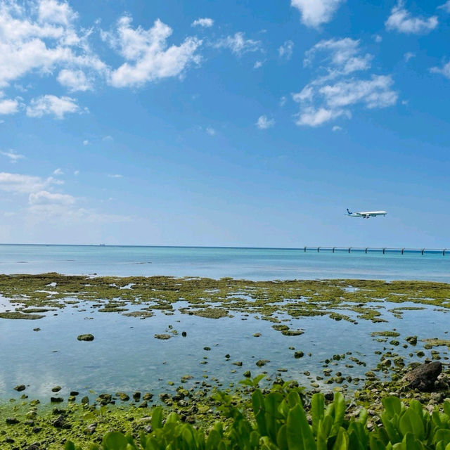 Paradise Next Door at Senaga Island Okinawa