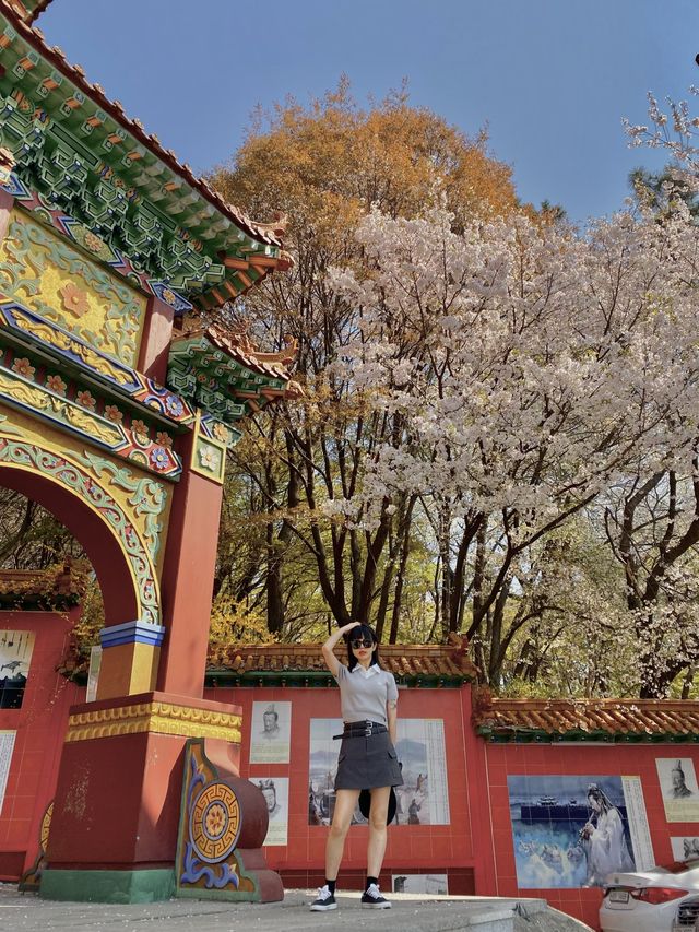 알록달록한 색감에 벚꽃 한스푼 🌸