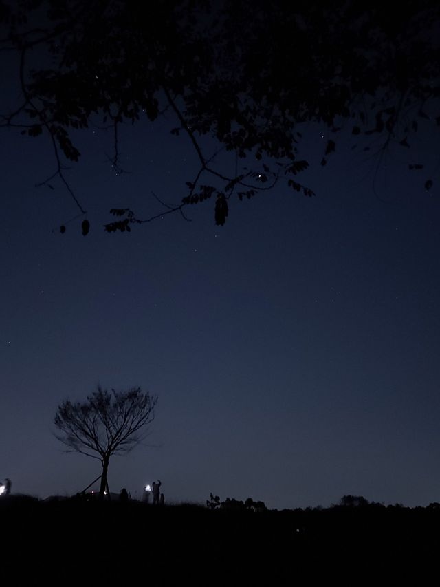 숲 속에서 자연미술을 찾아 탐험을 떠나보실래요? :)